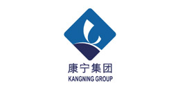 康宁集团